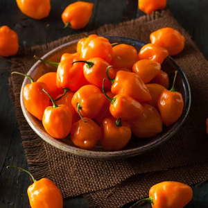 Chiles Habanero Bird Eye Secos sin Tallo del Reino Unido en Bolsa/Caja/Botella de Gran Volumen para Cocinar Mariscos - Product Image 2