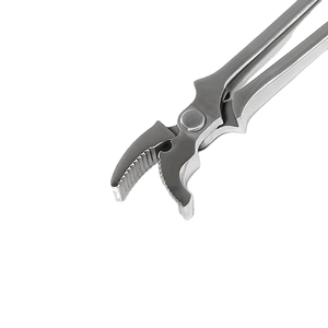 Professional Quality Tegra Surgical Reusable Stainless Steel Veterinary Surgical Horse Hoof Clincher Farriers Supplies CE - Product Image 6