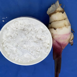Meilleures ventes : Amidon de racine d'arrowroot biologique à bon prix, goût naturel pour l'alimentation et les ingrédients, emballé en sac, provenant du Vietnam - Product Image 1