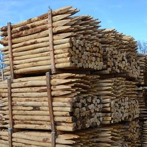 Estacas/Postes de Madera Dura para Jardín - Estacas de Madera Tratada para Cercas, Soporte de Árboles, Bordes de Jardín - Product Image 1