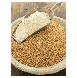 Harina de trigo natural premium sin procesar, harina refinada a granel para panaderías, restaurantes, cadenas de catering y compradores internacionales. - Product Image 5