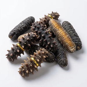 Pepino de Mar Seco de Alta Calidad / Pescado Negro Teat, 500-600 USD/Tonelada, Grado A, para Exportación Internacional, Suministro a Granel de Mariscos - Product Image 3