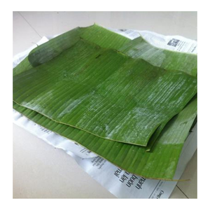 ใบตองแช่แข็งคุณภาพสูงสำหรับธุรกิจอาหาร บรรจุภัณฑ์สำหรับขายปลีก และตลาดส่งออก จาก 99 โกลด์ ดาต้า เวียดนาม - Product Image 1