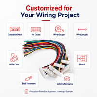 Arnés de Cableado JST Personalizado, Conjunto de Cables con Conector Multipin, Cable Codificado por Colores para Equipos Electrónicos, Suministro OEM ODM