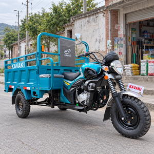 Tricycle cargo à essence robuste pour moteurs de plus de 250 cm³, avec benne ouverte, moto à trois roues motorisée 1000W+ 70Km/h - Product Image 1