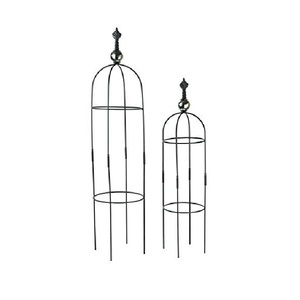 Supports de plantes tendance : Obélisques en fer légers pour plantes grimpantes, lot de 2 piquets de support connectables - Product Image 1