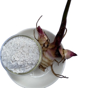 Best Quality Arrowroot <b>starch</b> Flour White Powder Native type from Vietnamroot <b>starch</b> - Product Image 1