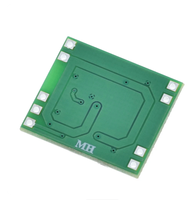 Carte d'amplificateur de puissance PAM8403 - Classe D, 2x3w, carte d'amplificateur de puissance numérique ultra-miniature, 2,5 - 5V, peut être alimentée par USB