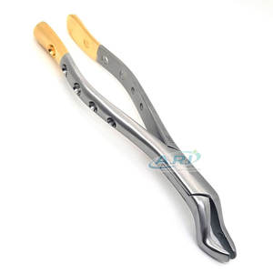 Pinzas Quirúrgicas Dentales Profesionales de Acero Inoxidable, Instrumentos para Extracción de Dientes, Pinzas Dentales Duraderas de Alta Calidad - Product Image 2
