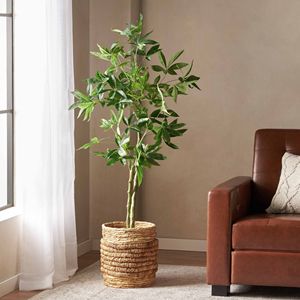 Albero della Fortuna Pachira Artificiale da 63 Pollici, Decorazione Verde per Ufficio, Casa, Soggiorno, Patio, Veranda - Product Image 1