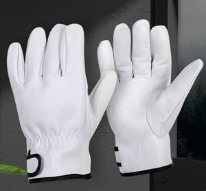Premium Leather <b>Driver</b> <b>Gloves</b> Oem Odm Excellent Grip Durable Genuine Leather Work <b>Gloves</b> Supplier - Product Image 1