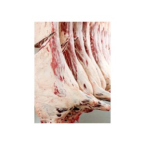 Carcasa de cerdo congelada de calidad, carne de cerdo halal congelada barata - Product Image 3