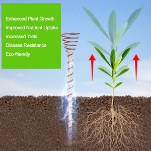 Piquets d'antenne de jardin en cuivre pur pour l'électroculture, pour légumes et fleurs, de fabricant et fournisseur indien - Product Image 6