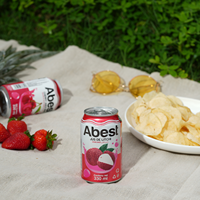 Jugo de Fruta Natural al por Mayor en Lata de Aluminio, Bebida Frutal Fresca, Jugo de Durazno Enlatado de 330 ml, Venta al por Mayor