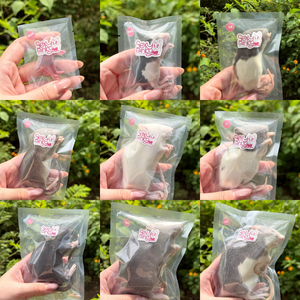 หนูแช่แข็งสำหรับให้อาหาร M3 61-70 กรัม – บรรจุแยกชิ้น |   เสริมด้วยโปรไบโอติก - Product Image 2