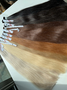 Extensiones de Cabello Vietnamita Natural 100% de Alta Calidad, Precio de Fábrica, Longitud 55cm, Super Double Drawn - Product Image 6