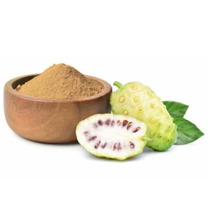 Extrait de fruit de Noni 100% pur naturel de qualité alimentaire, soluble dans l'eau, 10:1, poudre d'extrait de fruit de Noni de haute qualité en provenance d'Inde - Product Image 3