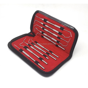 Kit de Limpieza Dental de 10 Piezas Más Vendido, Juego de Sondas para Remover Sarro, Herramientas para el Cuidado Dental, Instrumentos Quirúrgicos Dentales, Proveedor Certificado por CE e ISO - Product Image 1