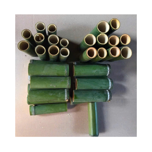Gobelet en bambou naturel fait à la main, écologique, réutilisable, pour la maison, la cuisine, les voyages et l'extérieur - Product Image 3