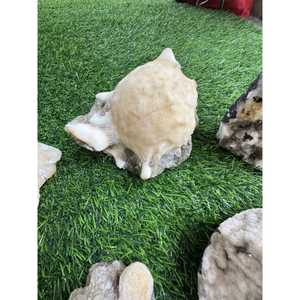 Lot de cristaux de thomsonite, pierres minérales naturelles pour la décoration intérieure, fournisseur de qualité export - Product Image 3