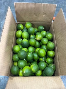 Limón Verde Fresco Sin Semillas de Primera Calidad |   Cítricos 100% Naturales con Pulpa Jugosa para Procesamiento de Jugos y Alimentos |   Marca Blue Lotus - Product Image 4