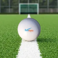 Ballon de hockey personnalisé sans fossettes en PVC durable – Ballon d'entraînement et de pratique à surface lisse pour joueurs