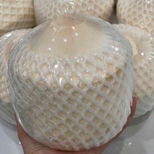 มะพร้าวเขียวสดเวียดนามสำหรับขายส่งและส่งออกทั่วโลก - Product Image 2