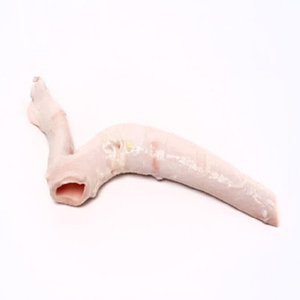 Aorta de Res Congelada de Primera Calidad, Halal, Aorta Bovina, Corazón de Res en Tubo, Venta al Por Mayor para Proveedores Internacionales de Carne - Product Image 4
