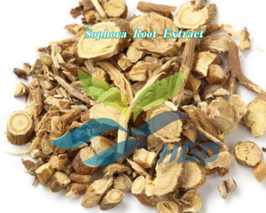 Suministro Directo de Fábrica HGO de Extracto Puro y Natural de Raíz de Sófora, Grado Alimenticio, Especificación Matrina 50%, Extracto Estandarizado - Product Image 2