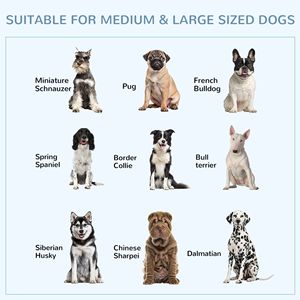 Cage pour animaux de compagnie moderne XXL, chenil pour chien pour l'extérieur, grande cage en fil soudé robuste pour petits animaux - Product Image 6