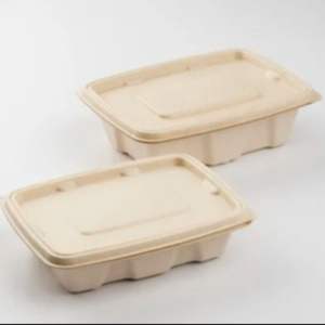 Contenant biodégradable en pulpe de canne à sucre (bagasse) de 500 ml pour chaînes de restauration rapide, vendeurs et nourriture de rue – Disponible au meilleur prix - Product Image 1