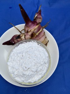 Meilleures ventes : Amidon de racine d'arrowroot biologique à bon prix, goût naturel pour l'alimentation et les ingrédients, emballé en sac, provenant du Vietnam - Product Image 6