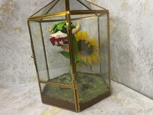 Decorative Glass Terrarium Tabletop Garden Display Perfect For <b>Study</b> Table Setup And Creative Work <b>Desk</b> Styling From India - Product Image 6