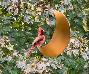 Moderno Adorno Colgante de Luna, Comedero para Pájaros de Metal Negro para Jardín Exterior, Decoración de Cardenales, Decoración para el Hogar y el Jardín - Product Image 6