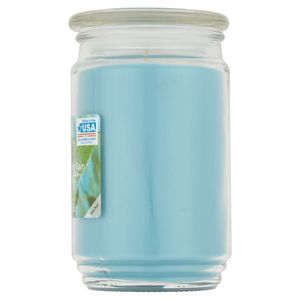 Grande barattolo di vetro a stoppino singolo candela 20 once vasetto da pioggia da giardino candele - Product Image 3