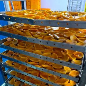 Vietnam Soft Dried Mango in Vacuum Pack Ideal for Export Business - Product Image 6