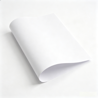 Papier de copie multi-usage A4 70-80 g/m² disponible, haute opacité 95 % pour impression recto-verso