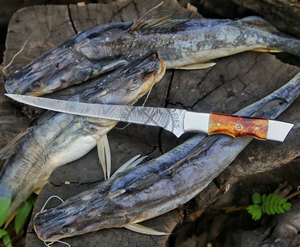 Nouvelle édition, couteau de filetage de poisson en acier Damas fait main sur mesure avec manches en os de chameau brûlé, couteau de cuisine à lame fixe - Product Image 6