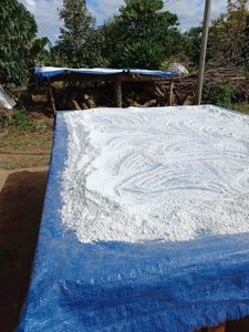 Poudre d'arrowroot du Vietnam 100% naturelle de qualité alimentaire, amidon d'arrowroot pour la pâtisserie et l'épaississement, fournisseur OEM en vrac pour l'exportation - Product Image 5