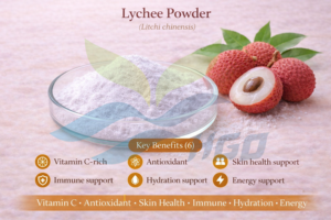 HGO Factory Fourniture directe de poudre de litchi naturelle pure (qualité alimentaire) Spécification poudre de fruits (poudre de fruits ou de légumes) - Product Image 5