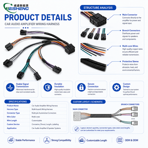 Faisceau de câblage automobile personnalisé pour câbles de radio de voiture amplifiés, isolation en PVC, conducteurs en cuivre, indice de protection IP68, 110V/12V pour Android - Product Image 3