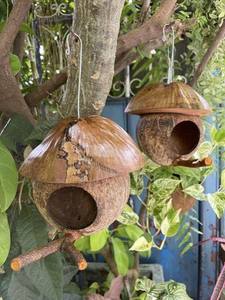Casa para Pájaros de Cáscara de Coco Personalizada, Nido Natural para Pájaros de Jardín, Exteriores y Mascotas - Product Image 2
