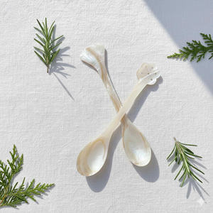 Cucharas de Caviar de Nácar Ecológicas, Cucharas Pequeñas de Concha para Sal, Especias, Postres, Vajilla de Lujo - Product Image 4