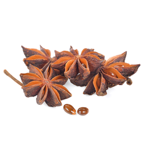 Anis étoilé de printemps séché à l'air pour épices en vrac, applications culinaires et de vente au détail - Product Image 4