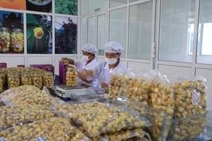 Zumo de pulpa de fruta de la Pasión congelada de primera calidad de Vietnam con y sin semillas, perfecto para batidos, helados, cócteles - Product Image 6