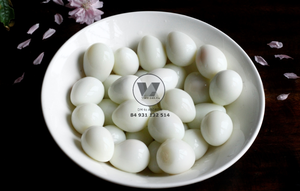 ไข่นกกระทากระป๋องพรีเมียม 15 ออนซ์ ยี่ห้อ BEST SELLER ไข่นกกระทาปรุงสุก แกะเปลือก พร้อมรับประทาน เหมาะสำหรับซุปฮอตพอตแบบเอเชีย และข้าวราดหน้า - Product Image 3
