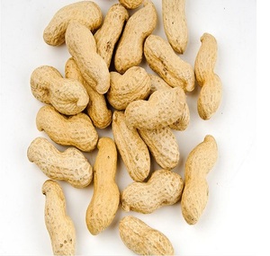 Nuevas almendras de guisante con muestra gratuita - Product Image 2