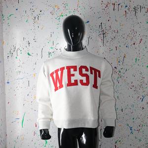 Sudadera con cuello alto color gris ceniza WEST ASH, 100% algodón, con apliques bordados, cuello ancho, URBAN PRODUCTIONS - Product Image 5