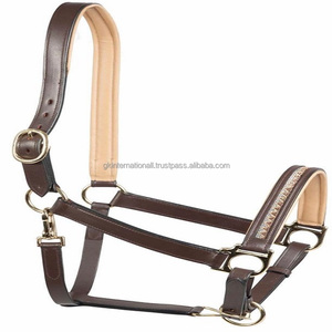 Halter de caballo de cuero genuino marrón de doble costura con relleno Beige de lujo de alta calidad con cadena ostentosa de diseñador y herrajes de latón - Product Image 6