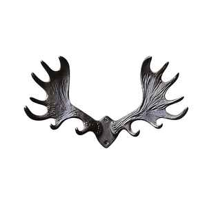 Nouvel crochet en fer noir en forme de J, finition revêtement poudré, pour la décoration, pour accrocher les vêtements, pour l'organisation de la chambre, pour l'organisation du jardin - Product Image 2